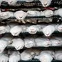 Dänemark lässt Millionen infizierte Nerze auf Pelzfarmen töten