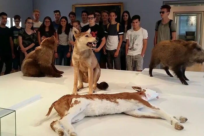 Sie 1AK der HAK Deutschlandsberg besuchte die Sonderausstellung Wolf und war angetan von der realistischen Darstellung.