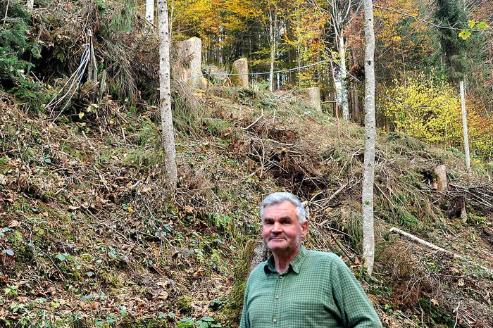 Die Schlägerungsstelle