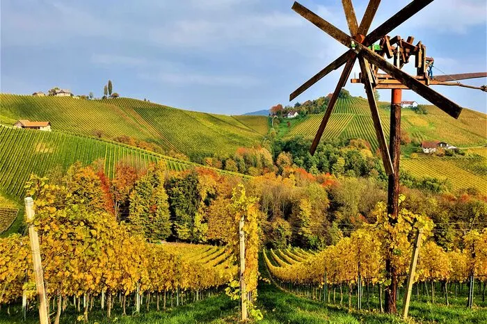 Herbstlicher Weinberg auf der Weinstraße, fotografiert von Bernhard Kargl aus Zeltweg.