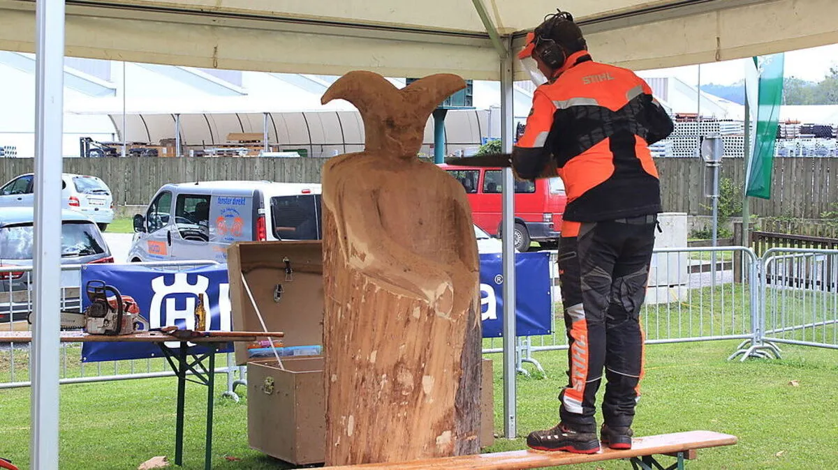 Zwölf Künstlerinnen und Künstler beweisen Kreativität beim Motorsägenschnitzen