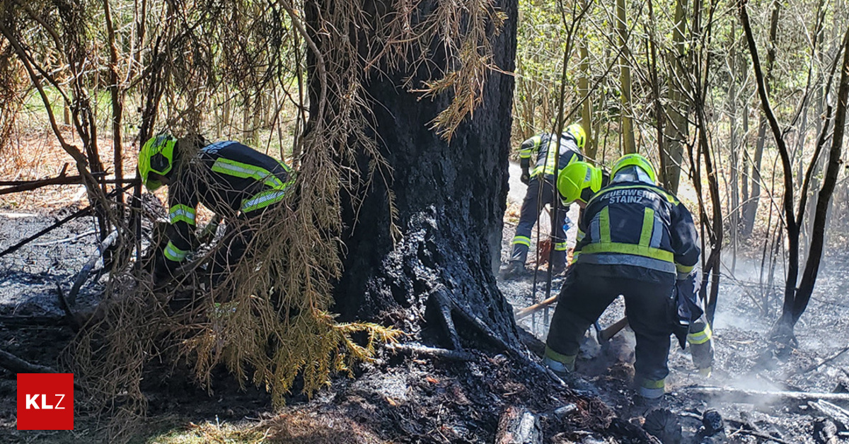 N-chster-Waldbrand-Waldst-ck-in-Stainz-fing-Feuer-J-ger-begann-mit-L-scharbeiten
