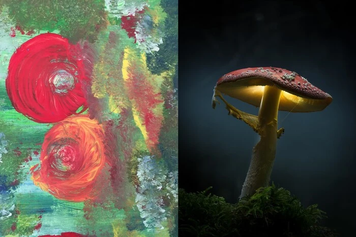 Ausstellung Natursymbiose von Corinna RAiner und Günter Bauernfeind