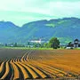 Ein Technologiepark im Norden und ein Gewerbepark im Süden sollen in St. Paul entstehen