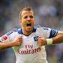 Der ehemalige HSV-Star Rafael van der Vaart