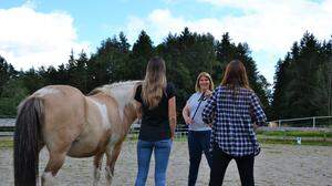 Der Umgang mit Pferden soll helfen, Mobbing zu verhindern