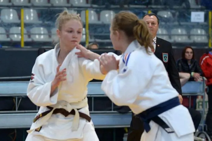 Dem Team um Horst Waltersdorfer ist es auch heuer wieder gelungen, über 850 Judokas aus 100 Vereinen und 14 Nationen ins Aichfeld zu locken.