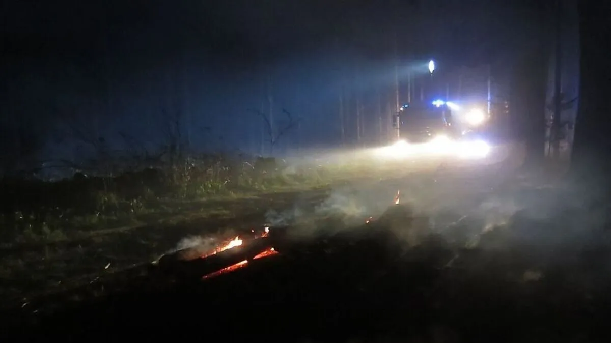 Acht Feuerwehren waren beim Waldbrand im Einsatz
