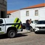 Die Polizeifahndung nach den Eltern verlief erfolgreich