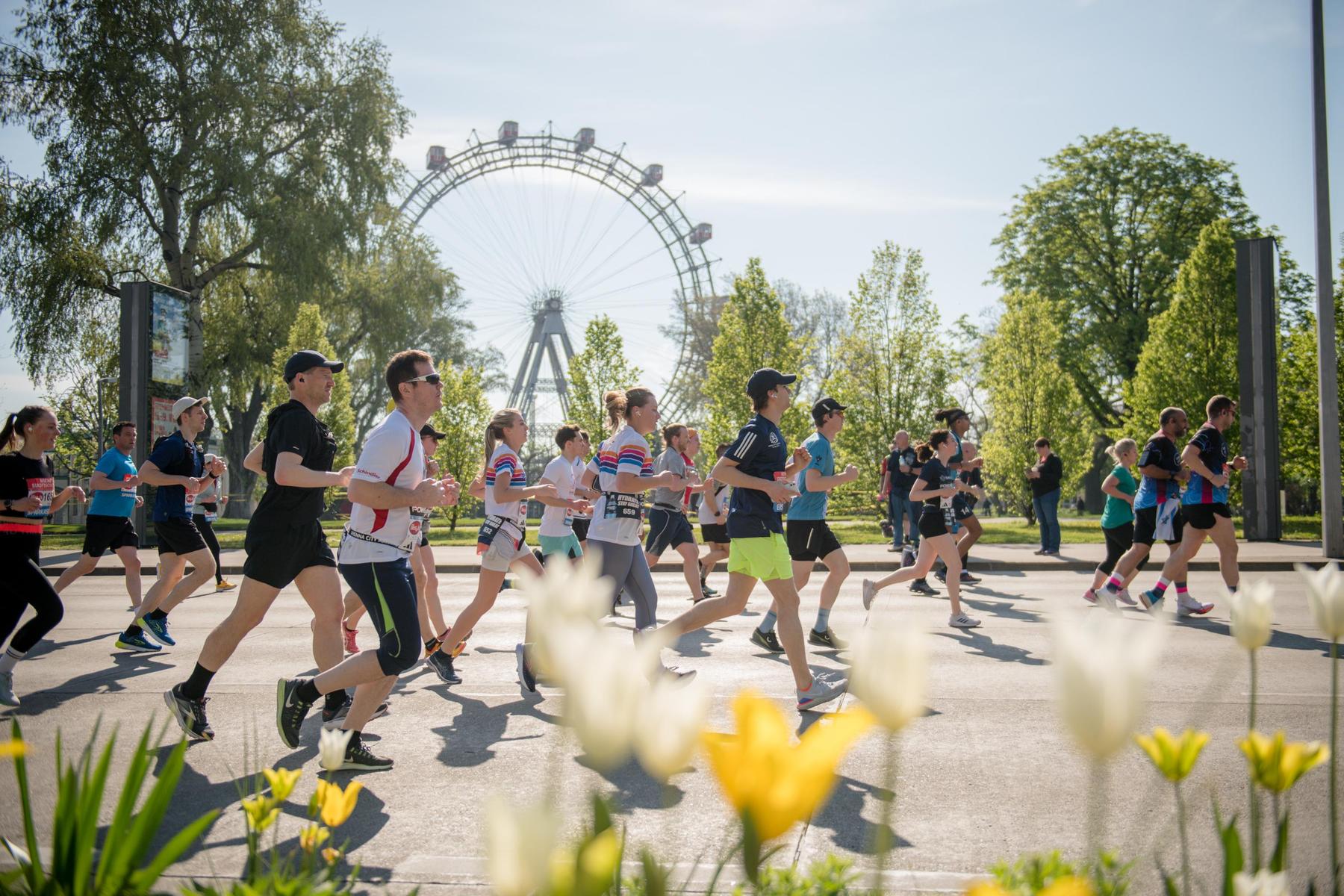 Vienna City Marathon: Ab 8.30 Uhr im Liveblog: Der 41. Wien-Marathon 
