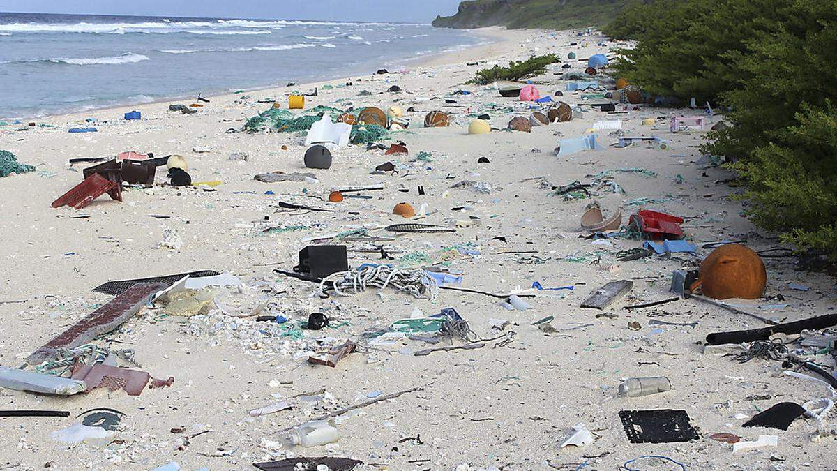 Die Natur vermüllt zunehmend, darunter leiden Mensch wie Tier