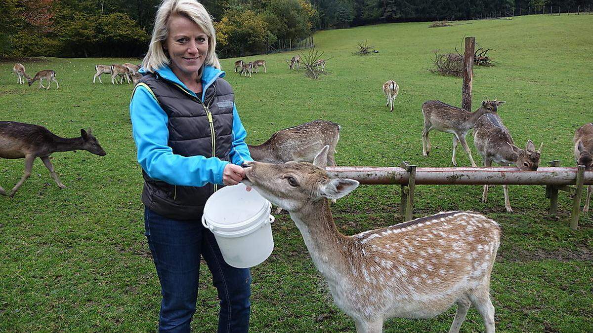 Martina Ziesler gibt der Hirschkuh Äpfel und Brot. Das schmeckt den Tieren besonders 