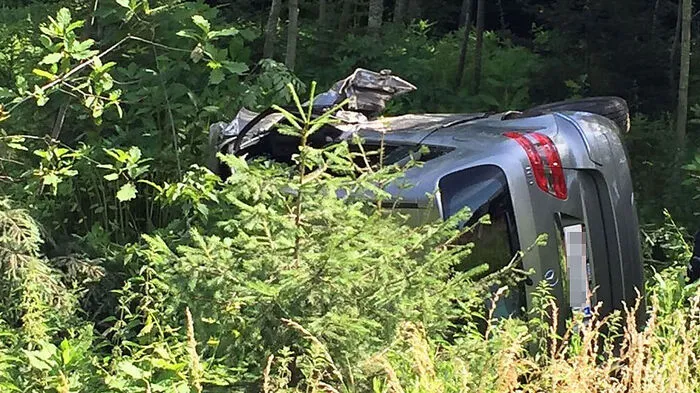 Der Pkw blieb in einem Jungwald liegen