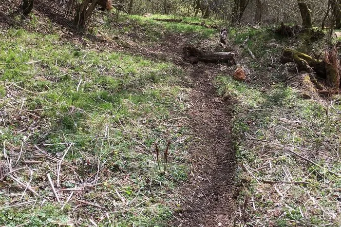 Auch im Naturschutzgebiet der Raabklamm hat Franz Schlögl von der Berg- und Naturwacht Weiz Spuren von den Fahrzeugen entdeckt.