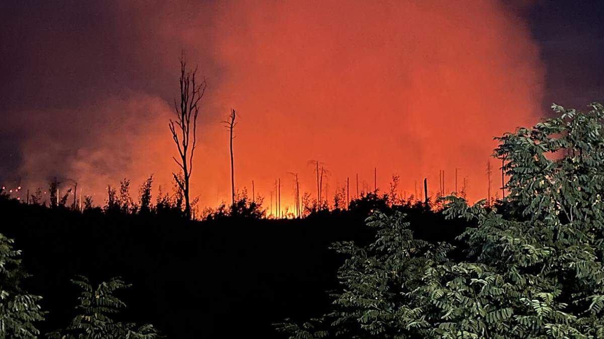 Im Jahr 2018 waren bei einem Waldbrand in Treuenbrietzen rund 400 Hektar Wald zerstört worden