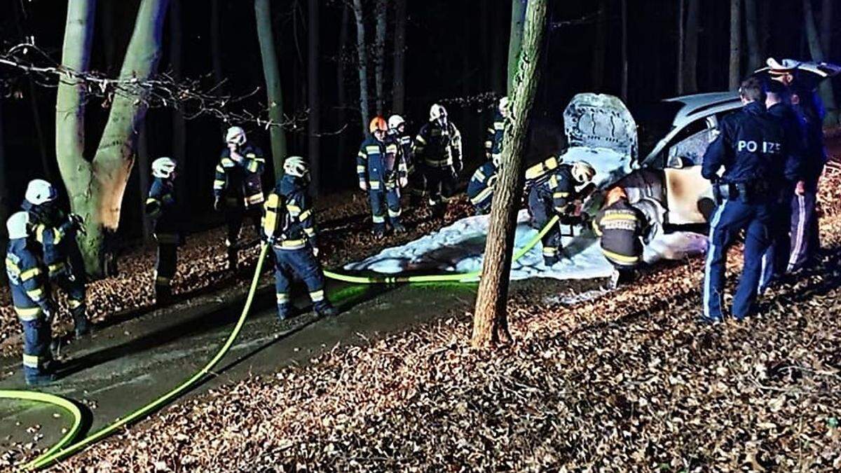 Die Flammen griffen zum Glück nicht auf den Wald über