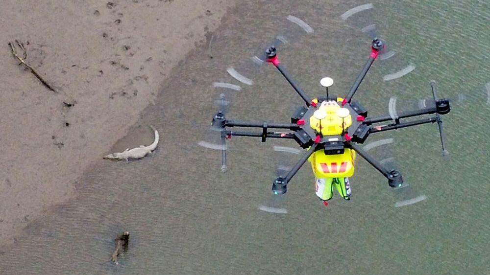 Australien will mit spezieller Drohne Krokodile aufspüren