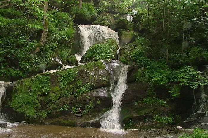 Rastplätze mit Wasserspielmöglichkeiten, eine spektakuläre Hängebrücke oder einen riesigen Wasserfall – das alles hat der Liebenfelser Wasserwanderweg zu bieten. Dieser führt von Glantschach aus entweder zum Wirtshaus „Zur Zechnerin“ oder zum Sörger Wasserfall. leserreporter Albin Seirer