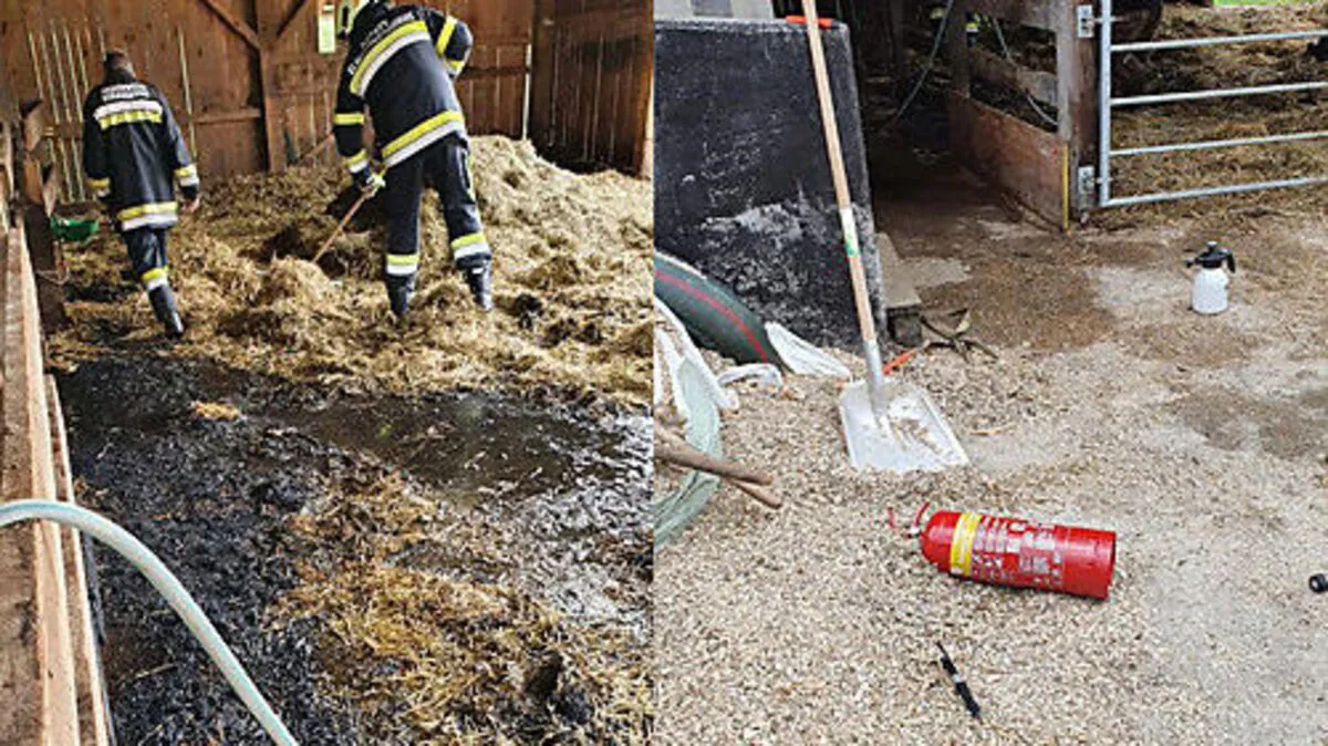 Der Brand konnte rasch unter Kontrolle gebracht werden