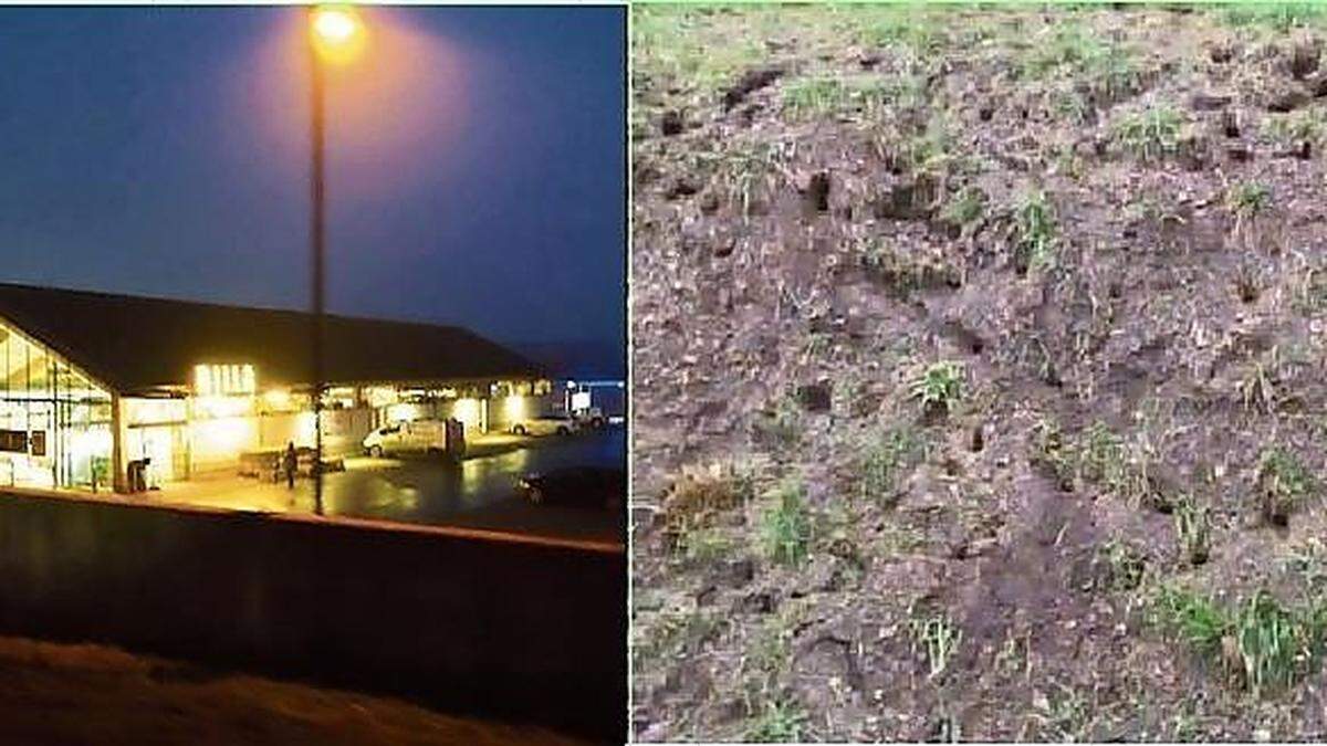 Der kleine, durchlöcherte Hügel hinter dem Billa-Standort in St. Peter-Freienstein