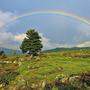 Beim &quot;Wandern fürs Gmiat&quot; kann auch ein Regenbogen zu spirituellen Betrachtungen führen 