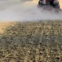 Die anhaltende Trockenheit, Hitze und Dürre setzen der Landwirtschaft in Österreich weiter zu. Die Böden sind hart und zu trocken
