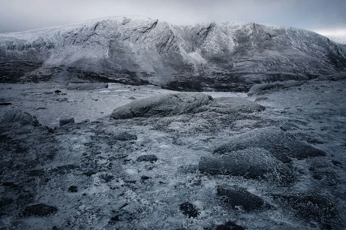 Aus der norwegischen Bergregion Dovrefjell