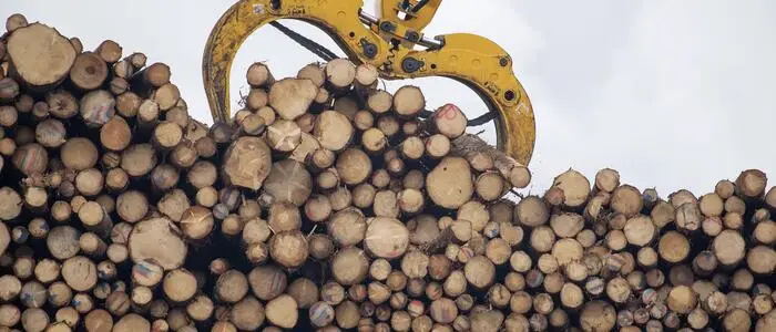 Mit dem Transport von Holz beschäftigte sich jenes Poggersdorfer Unternehmen, das jetzt zum Konkursfall wurde