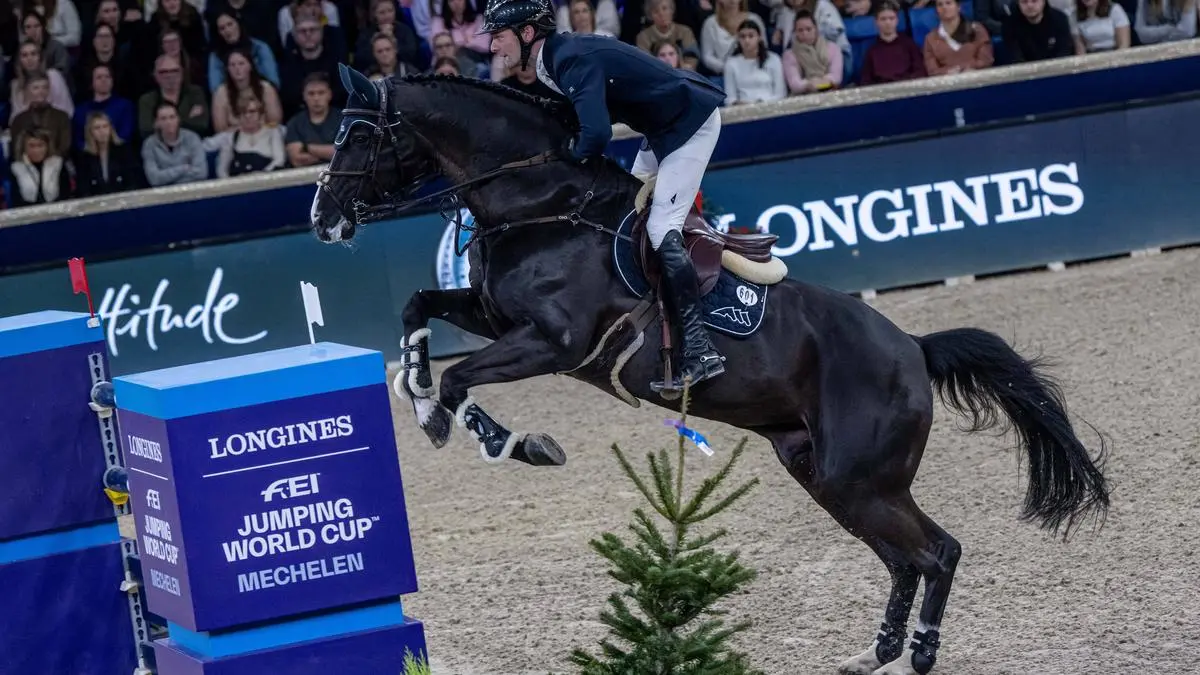 German rider Patrick Stuhlmeyer riding Baloutaire PS is seen during the FEI World Cup Jumping competition at the Vlaanderens Kerstjumping equestrian event in Mechelen on Tuesday 30 December 2025. JONASxROOSENS PUBLICATIONxNOTxINxBELxFRAxNEDxLUX x152406122x