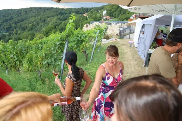 ... ein Picknick mit gigantischem Ausblick über das südoststeirische und slowenische Weinland.