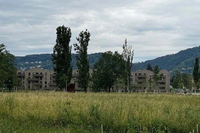 Bei unserem Lokalaugenschein am Samstag gegen Mittag zeigte sich das Viertel aber eher als Geisterstadt. Der Park präsentiert sich als ungemähte Blühwiese.