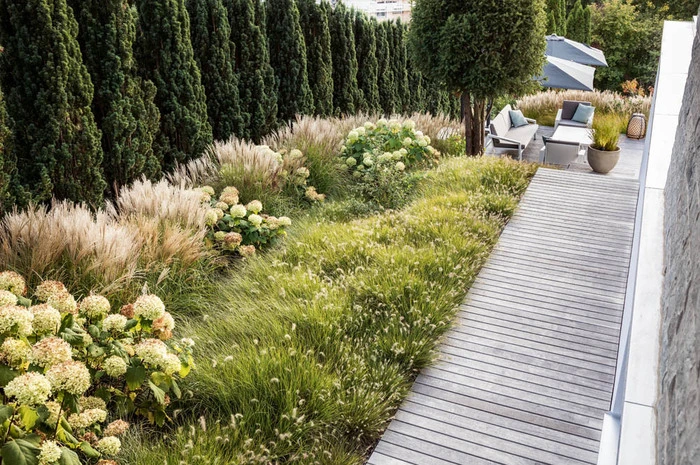 Ein Gräsermeer am Zürichsee schuf der Schweizer  Gartenarchitekt Simon Rüegg.