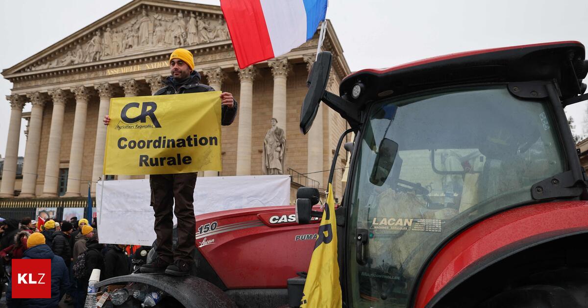 Necessary majority: EU states vote for Mercosur agreement