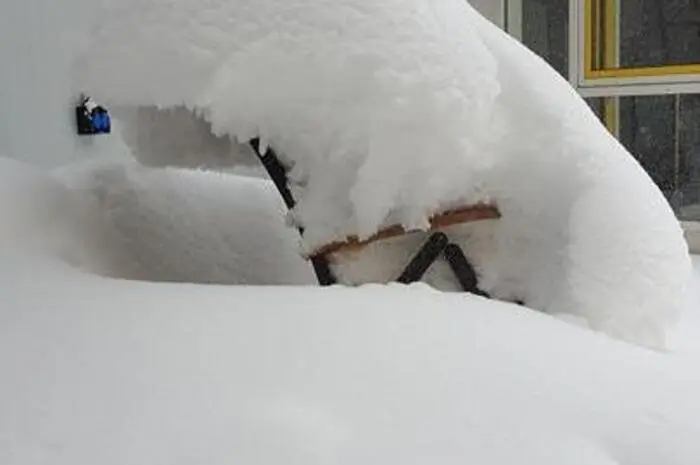 In Kalwang kann man einen sehr winterlichen Garten genießen.
