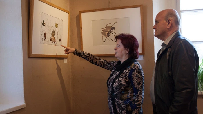 Klicken Sie sich durch die Galerie!