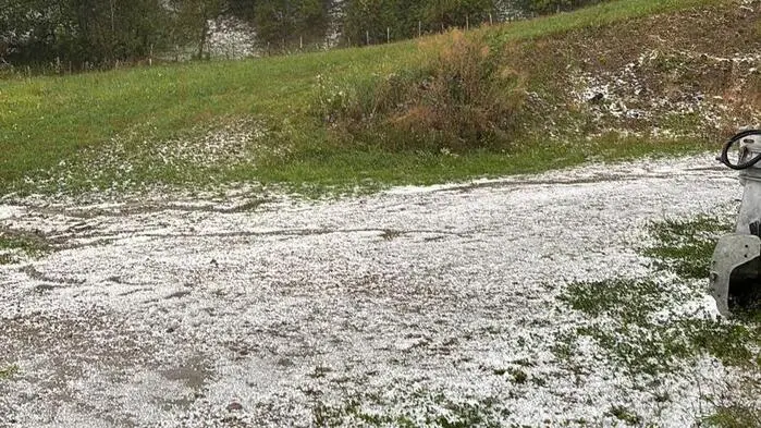 Eine Wiese, sie ist bedeckt mit so vielen Hagelkörnern, dass es wie eine dünne Schneeschicht aussieht.
