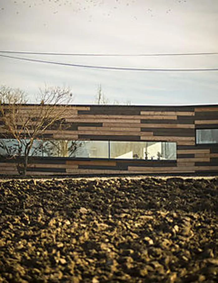 Zweifärbiges Lärchenholz: behandelt mit einer öligen Lasur als Skandinavien