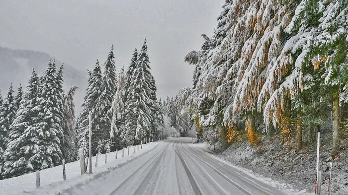 Diese Winterwunderland-Bilder schickt Leserreporter Siegfried Schlager aus Trieben ...