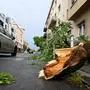 A car rides past a fallen tree after a sudden storm in Zagreb, on July 19, 2023. (Photo by DENIS LOVROVIC / AFP)
