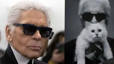 Was passiert nun mit Choupette - und ihren Millionen?