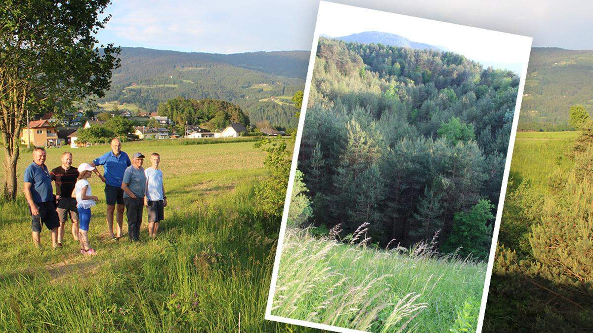 Wegen des &quot;Rotföhrenbestandes seltener Art&quot; (kleines Bild) wies das Land den Antrag auf die Deponie in Hart bei Lavamünd ab