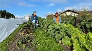 Nina und Selim Hochegger auf ihrem Hof in Hart (Gratwein-Straßengel)