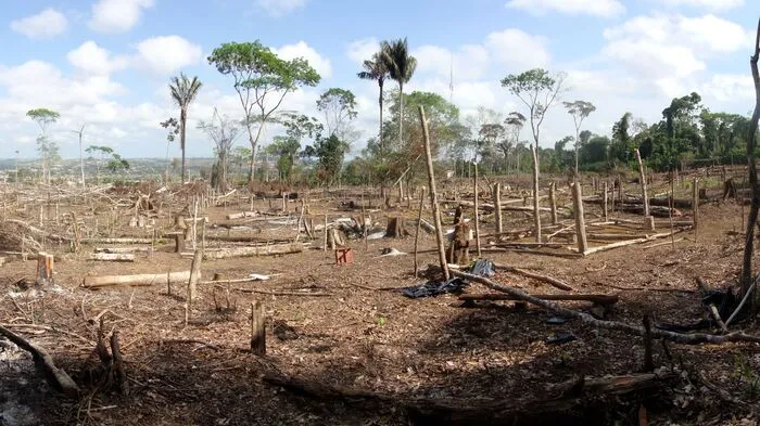 Mehr als 72.800 Brände wüteten bislang 2019 in Brasilien. Nicht nur die indigene Bevölkerung ist bedroht, auch Großstädte sind davon betroffen. Die starke Rauchentwicklung löste etwa einen Stromausfall in der Metropole São Paulo aus.