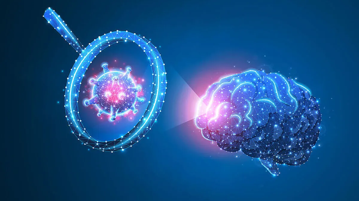 Auch im Gehirn wurden Virenpartikel gefunden