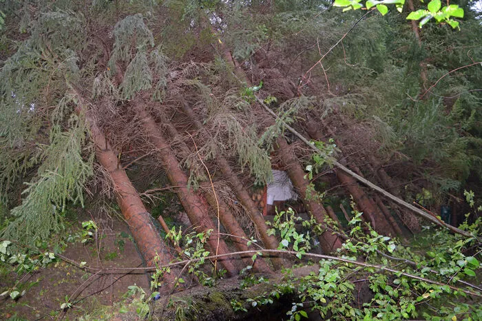 Unwetterschäden in Groß Siegharts