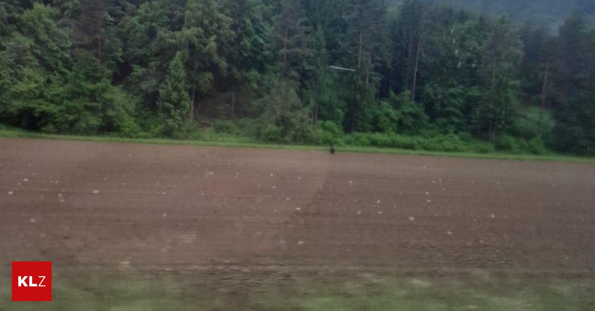 Brown bear crosses the street 20 meters in front of Carinthian woman