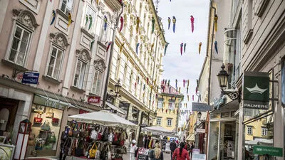 Im letzten Mai sorgten Papageien für Irritation in der Stadt 	