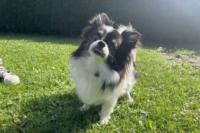 Klicken Sie sich durch die Bilder!