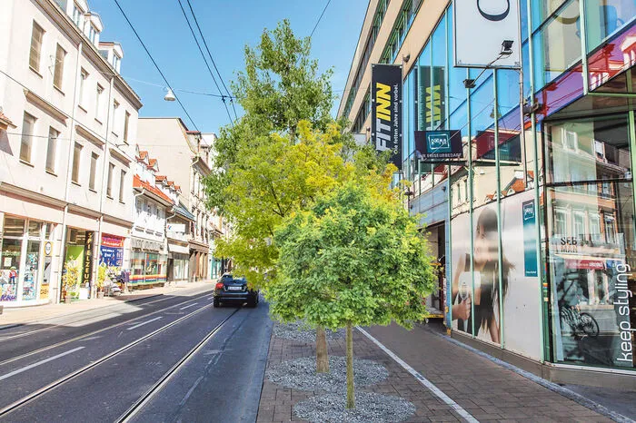 Bäume in der Gleisdorfer Gasse? Wären bei der Sanierung vor einem Jahr geplant gewesen, wurden im letzten Moment von der Stadt aber gestrichen. So hätte es aussehen können.