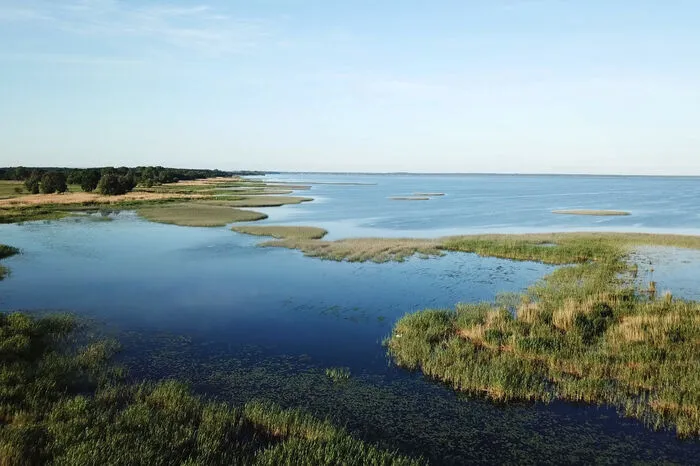 Mit der neuen Dokumentation „Das Oder-Delta“ von Christoph Hauschild zeigt „Universum“ am 15. Oktober(20.15 Uhr, ORF 2) diese grenzenlose Wildnis im Grenzgebiet zwischen Deutschland und Polen.
